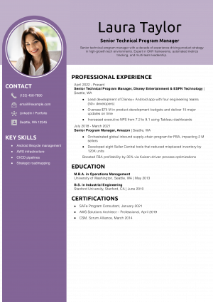 Senior Technical Program Manager Resume Example