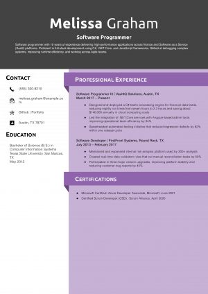Software Programmer Resume Example