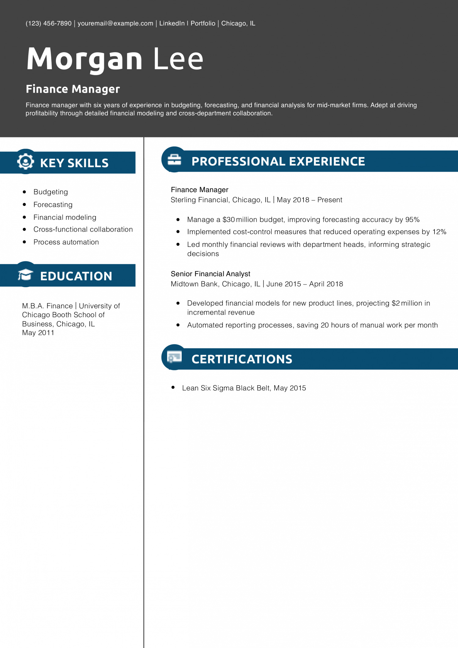 Finance Manager Resume Example