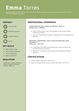 Disaster Relief EMT Resume Example