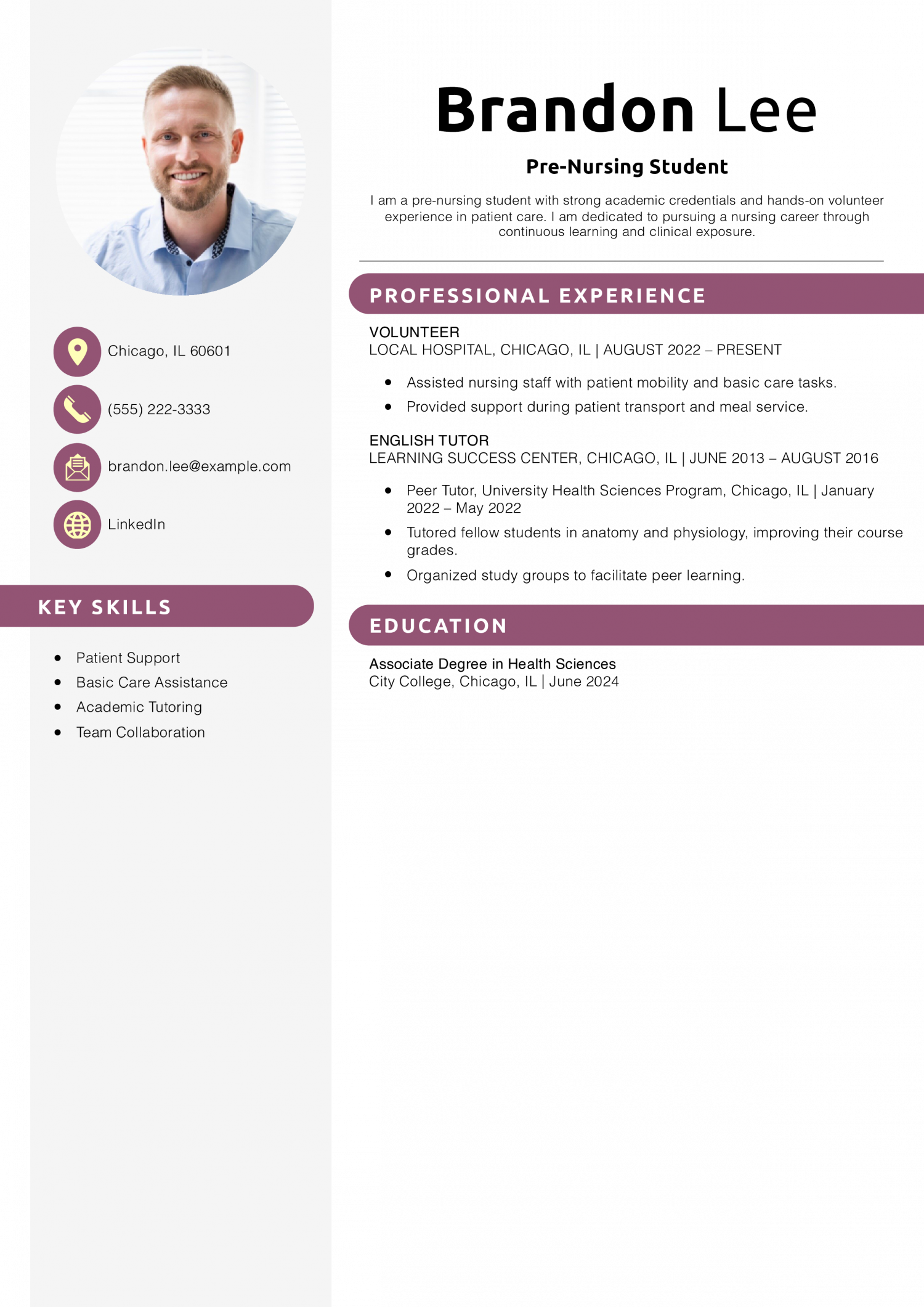 Pre-Nursing Student Resume Example