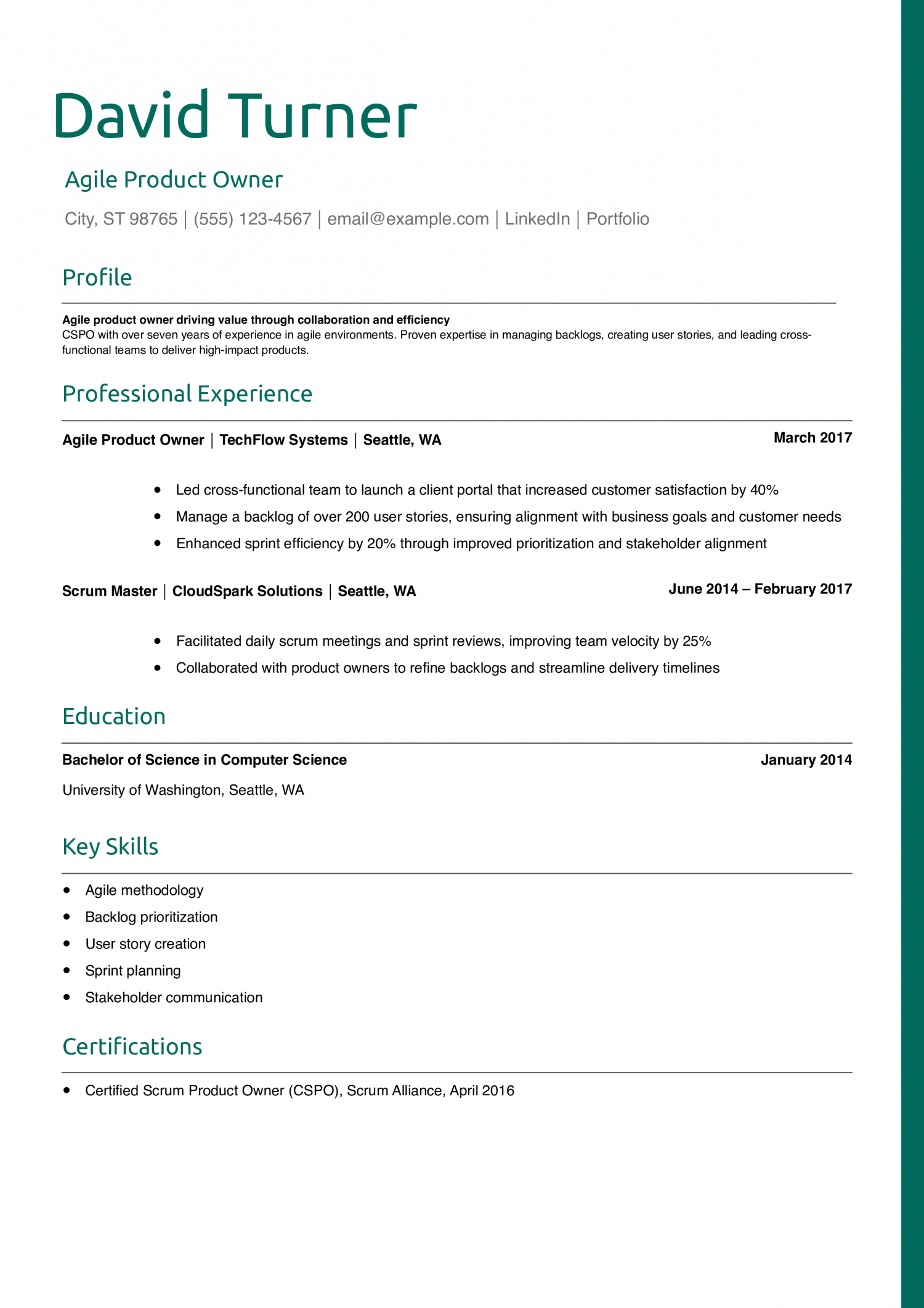 Agile Product Owner Resume