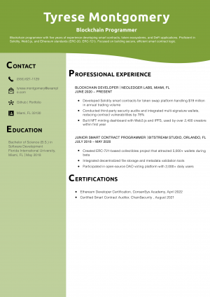 Blockchain Programmer Resume Example