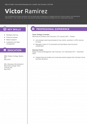 Professional Business Consultant Resume Example