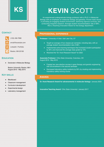 Stylish Resume Templates and Examples for 2025